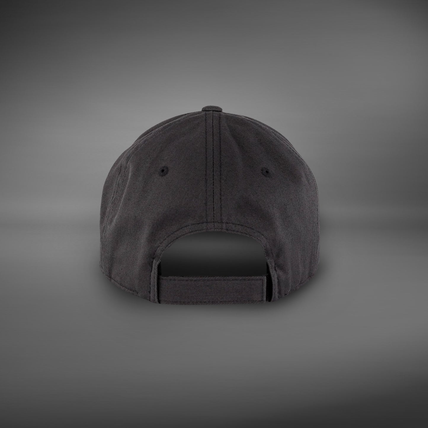 Venum Classic 2.0 pet - grafietgrijs