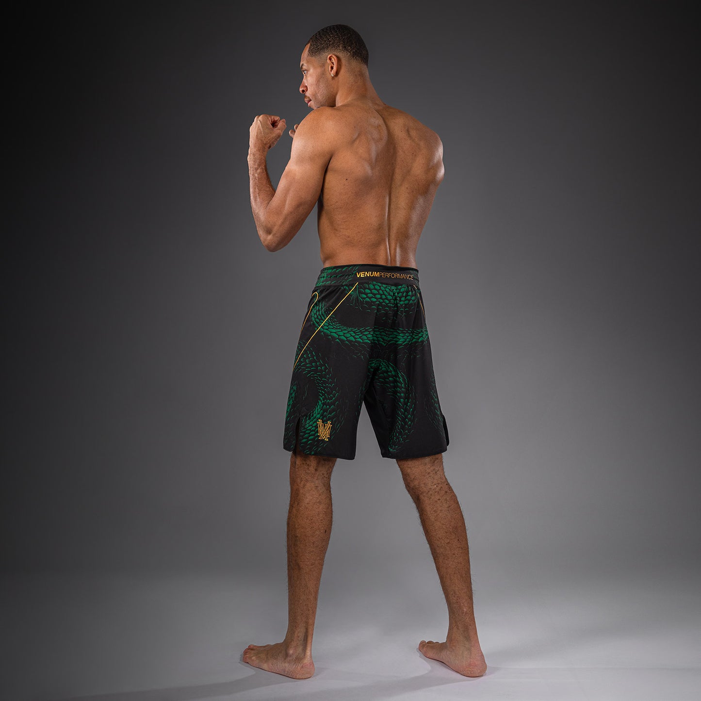 Venum Matupa Fightshorts - Zwart/Groen/Goud