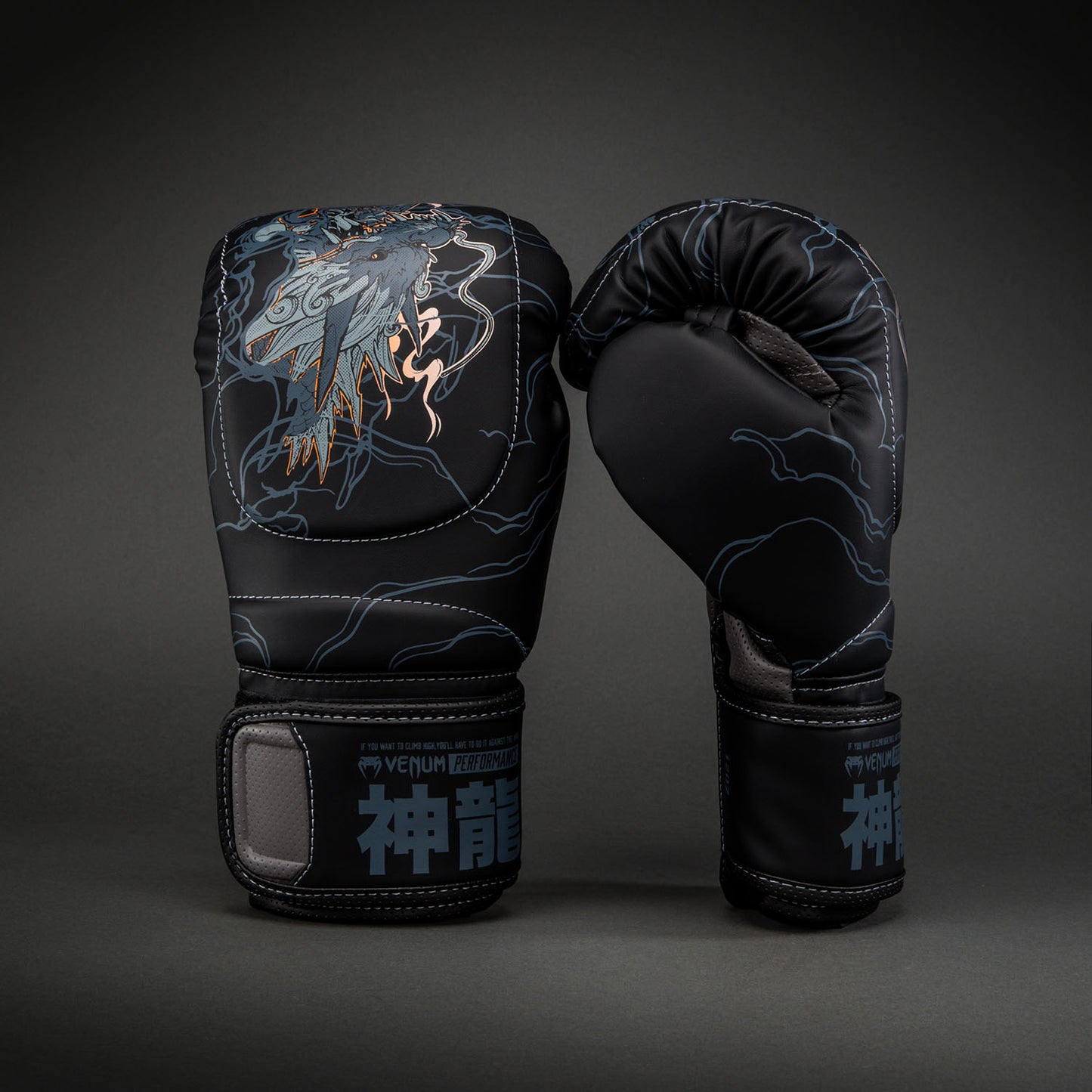 Venum Thunder Dragon Bokshandschoenen – Zwart/Grijs/Koper