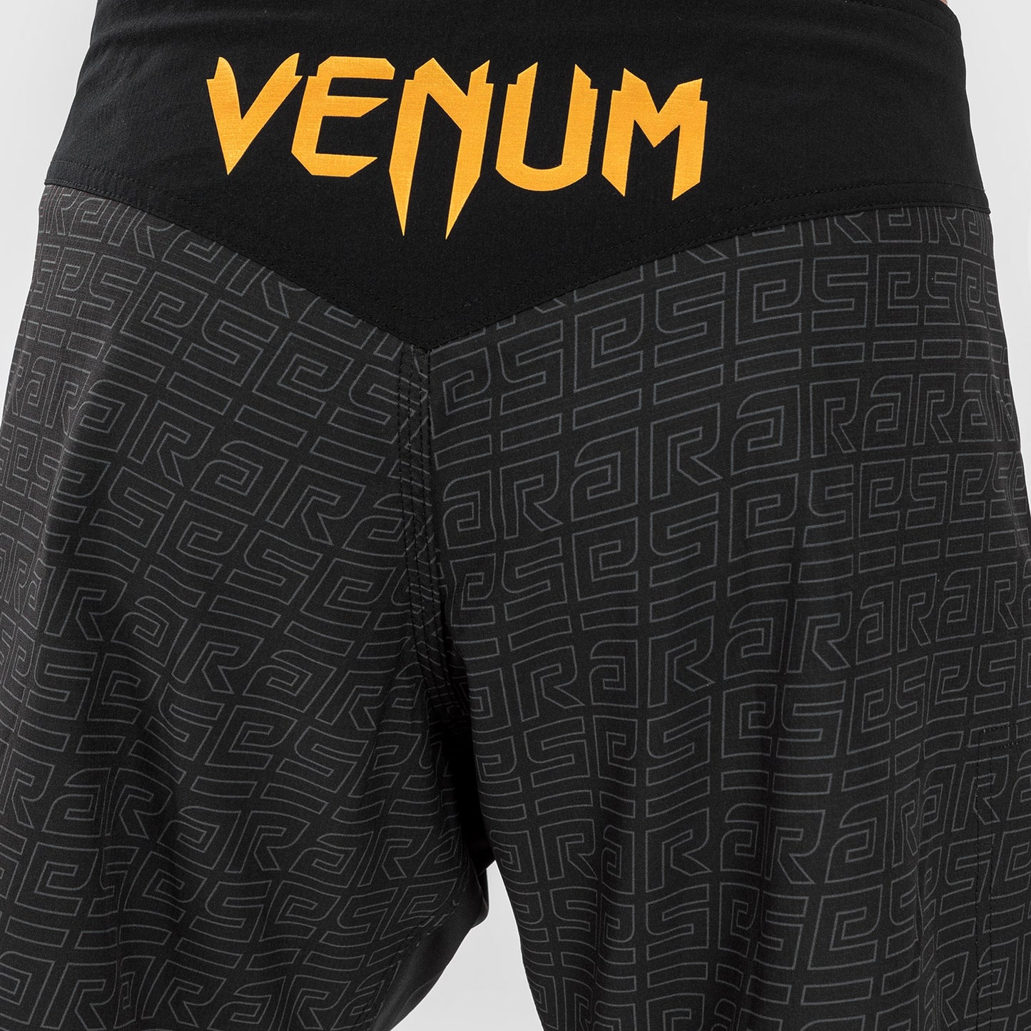Venum x Ares Heren Vecht Shorts - Zwart/Goud