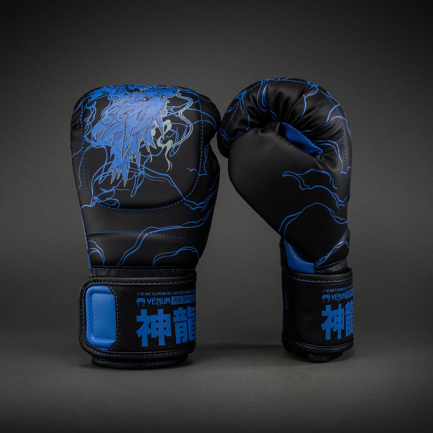 Venum Thunder Dragon Bokshandschoenen – Zwart/Koningsblauw