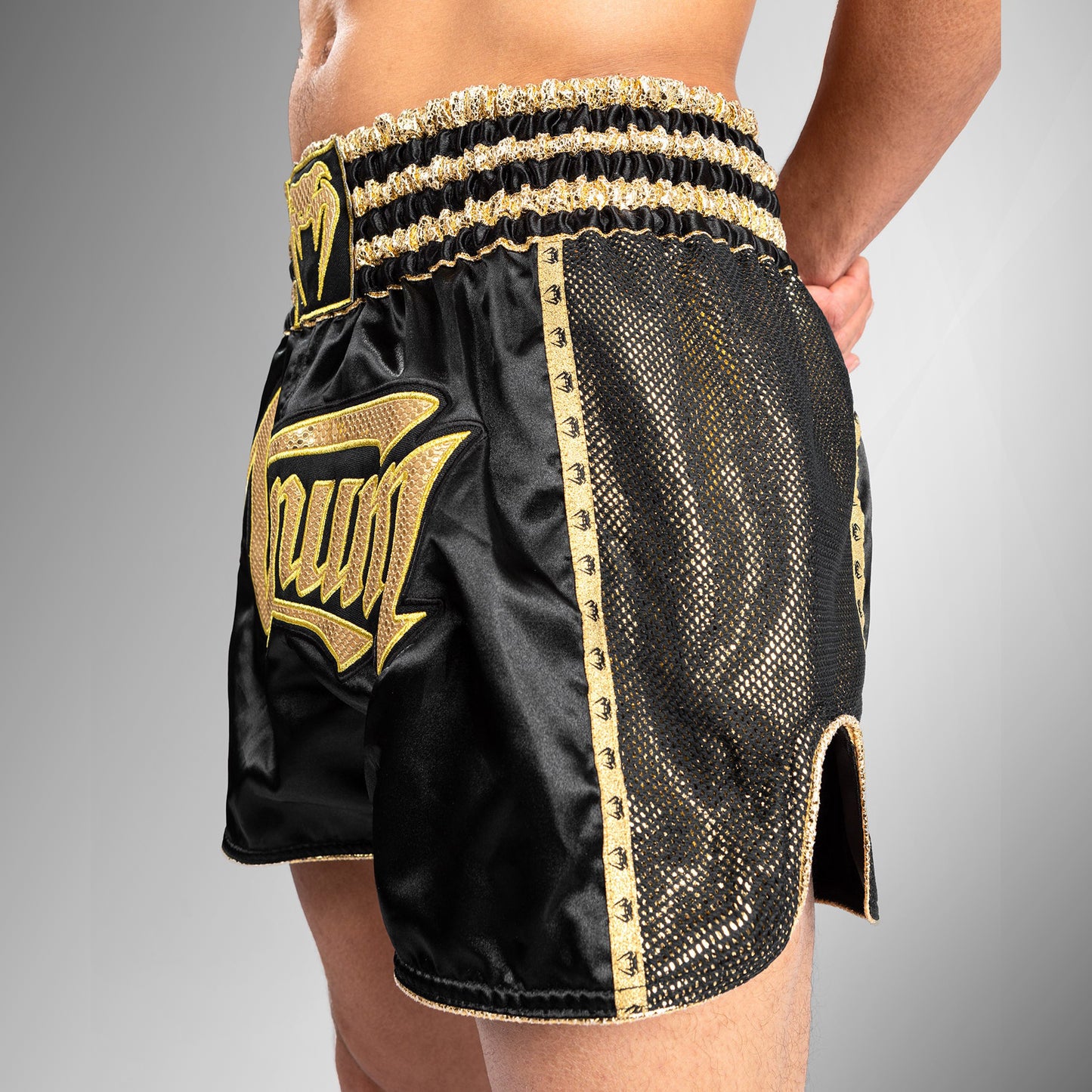 Venum Absolute 2.0 Muay Thai-shorts - zwart/goud