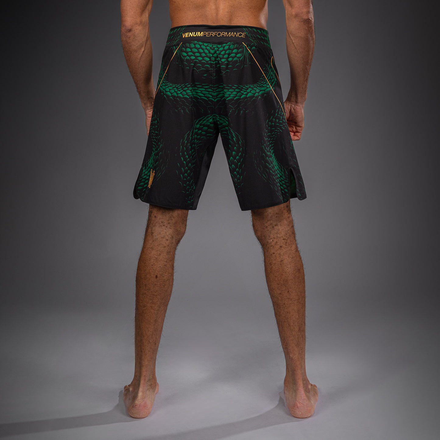 Venum Matupa Fightshorts - Zwart/Groen/Goud
