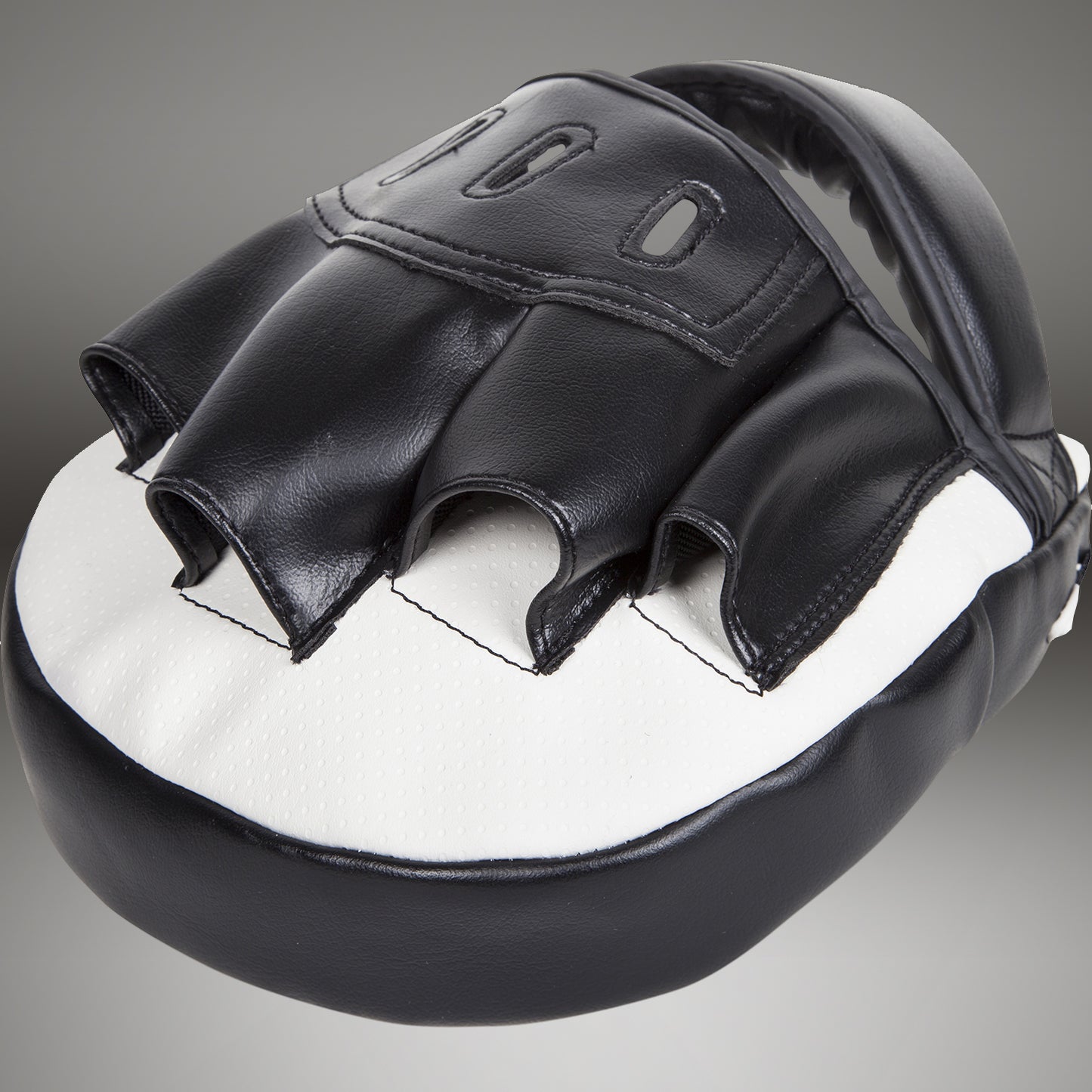Venum Light Focus Mitts - ice/Zwart (paar)