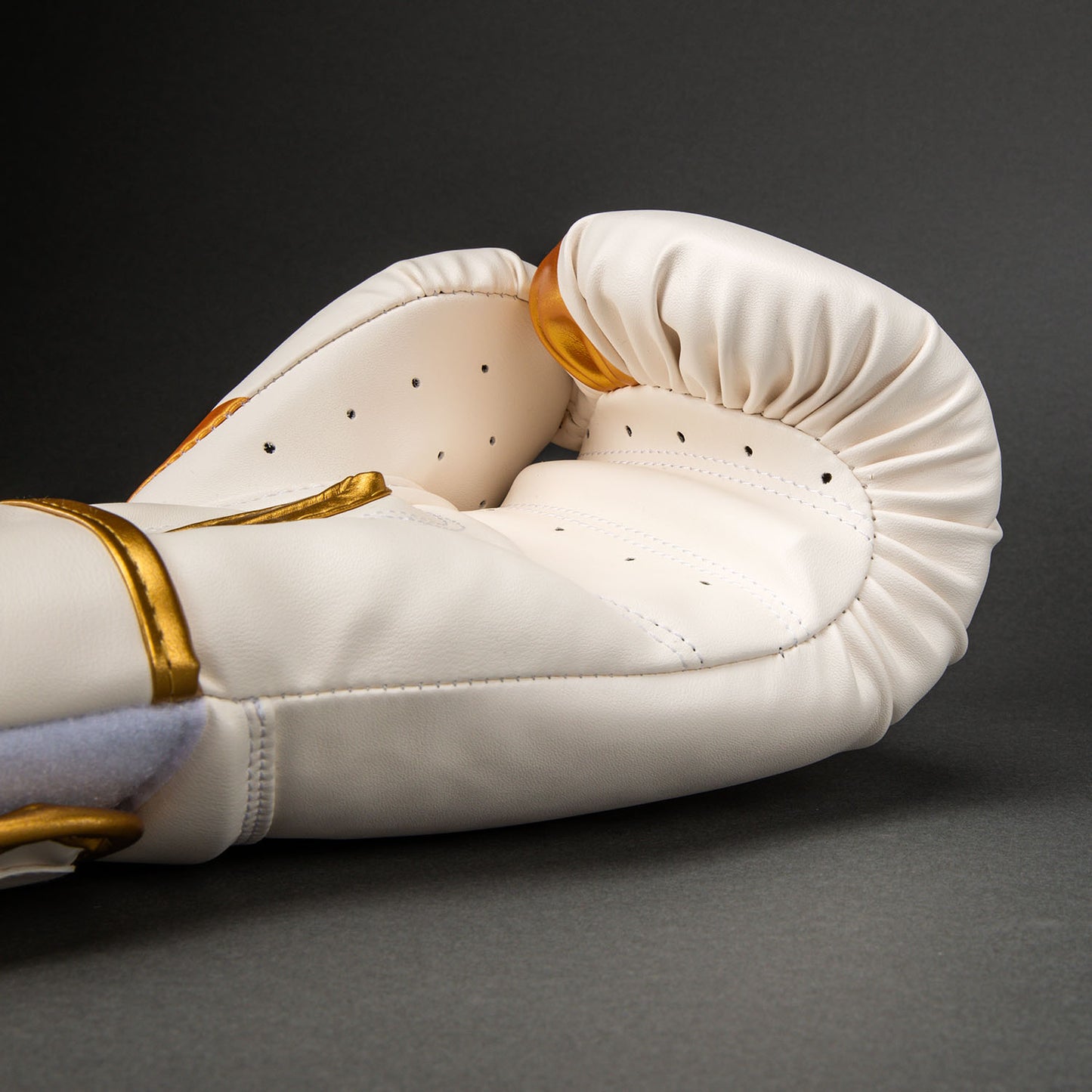 Venum Challenger 2.5 Bokshandschoenen – Wit/Goud