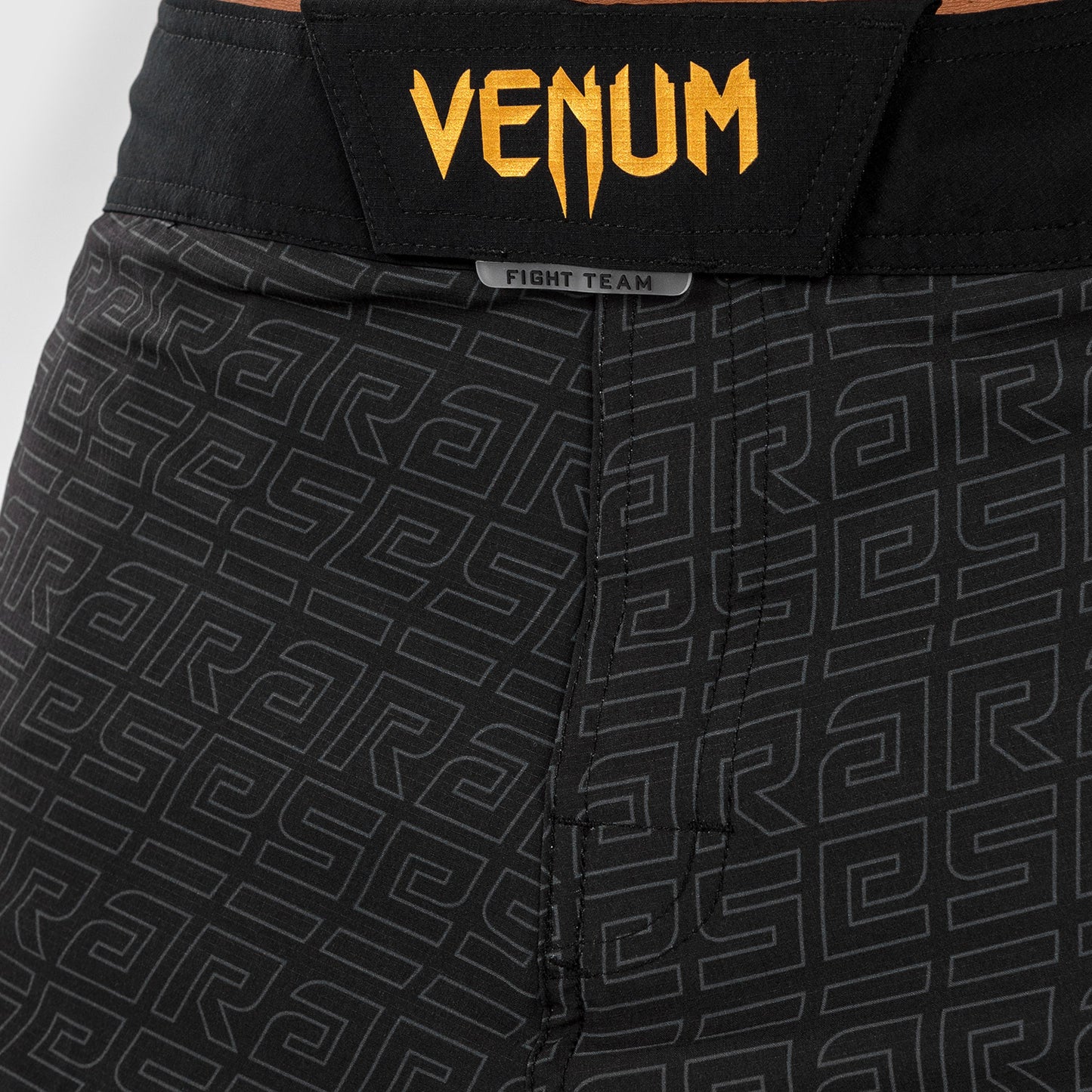 Venum x Ares Heren Vecht Shorts - Zwart/Goud