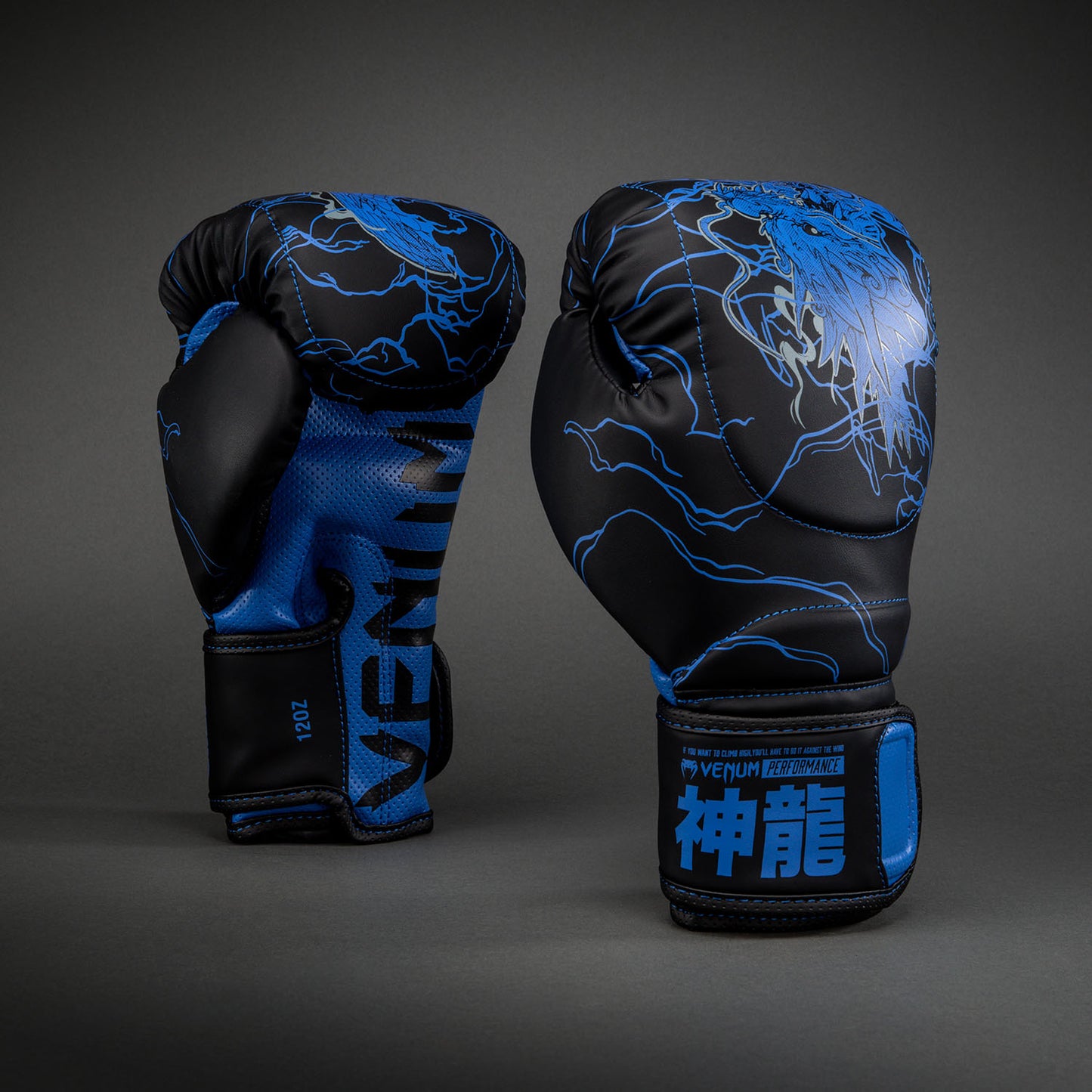 Venum Thunder Dragon Bokshandschoenen – Zwart/Koningsblauw