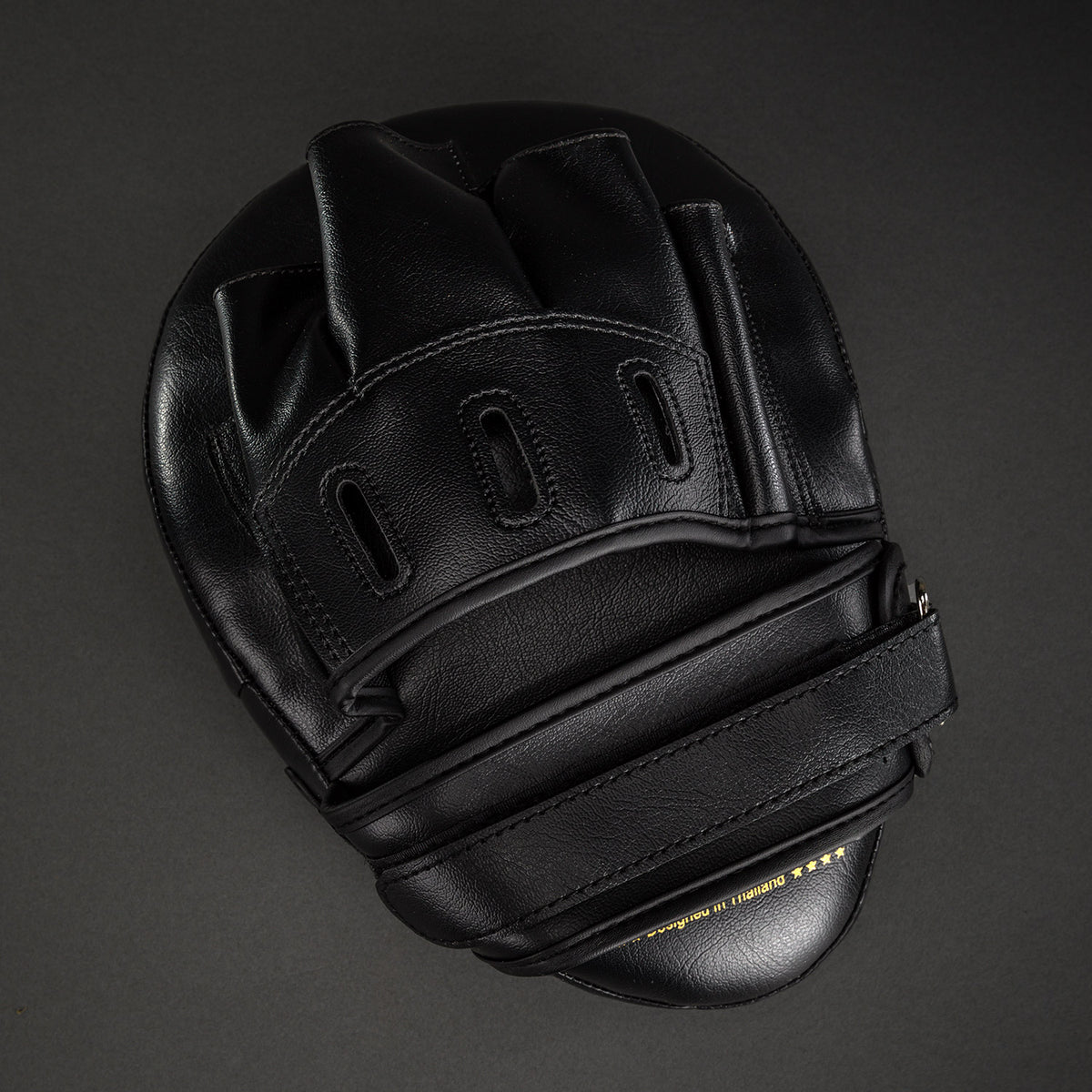 Venum Light Focus Mitts (Paar) - Zwart/Goud