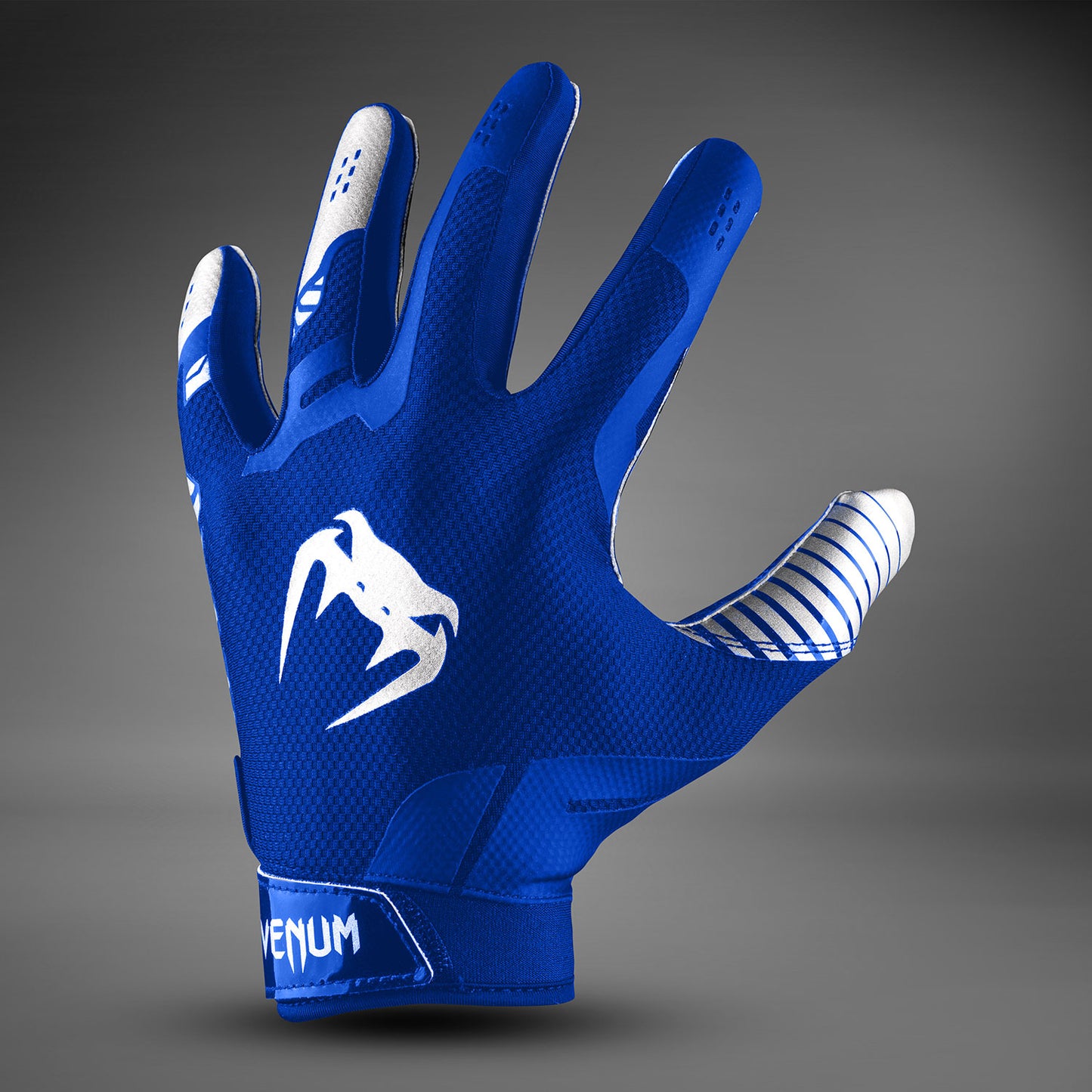 Venum Elite Voetbalhandschoenen - Koninklijk Blauw/Zilver
