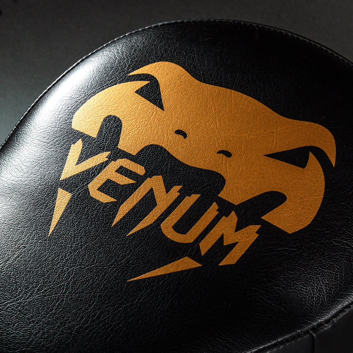 Venum Light Focus Mitts (Paar) - Zwart/Goud