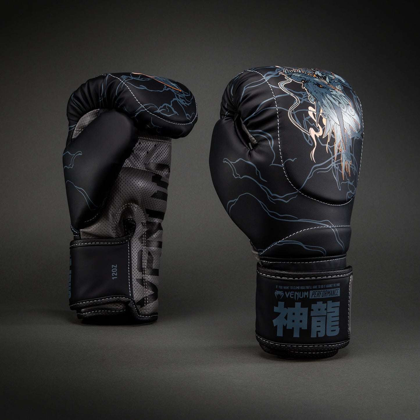 Venum Thunder Dragon Bokshandschoenen – Zwart/Grijs/Koper